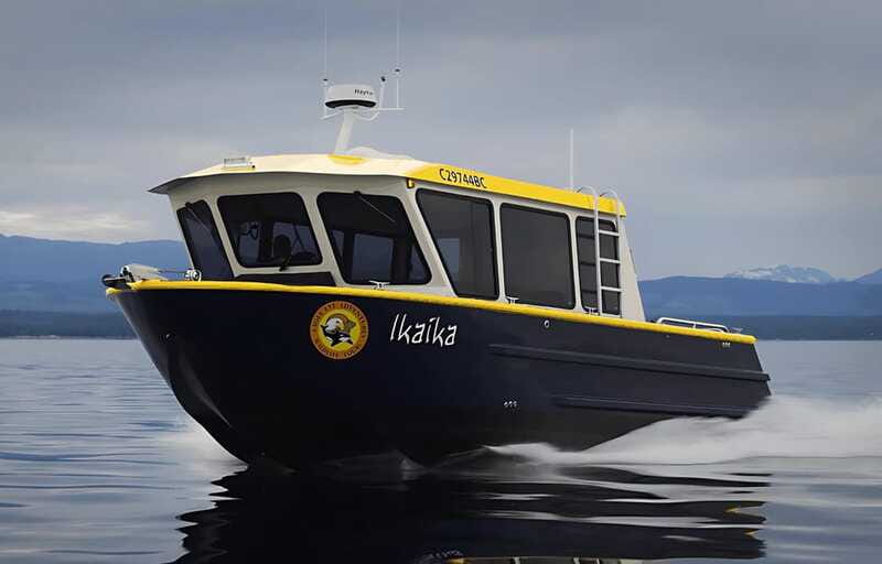 Campbell River: 6 Hour Covered Whale Watching Tour w/ Lunch - When things don’t go perfectly