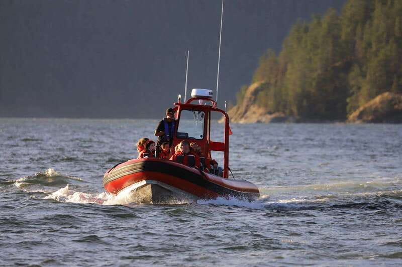 Campbell River: 6-Hour Whale Watching Boat Tour - Key Highlights That Make This Tour Worth Your Time