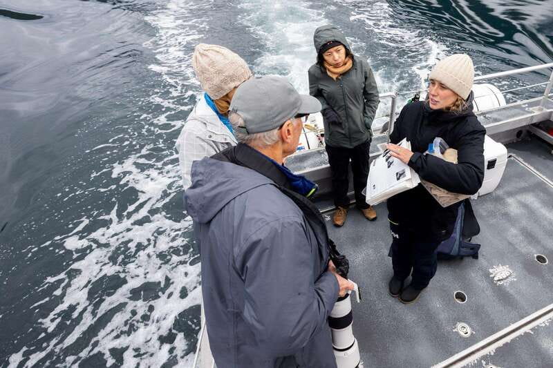 Campbell River: 6-Hour Whale Watching Boat Tour - Price and Value: Why $245 Can Be a Good Deal