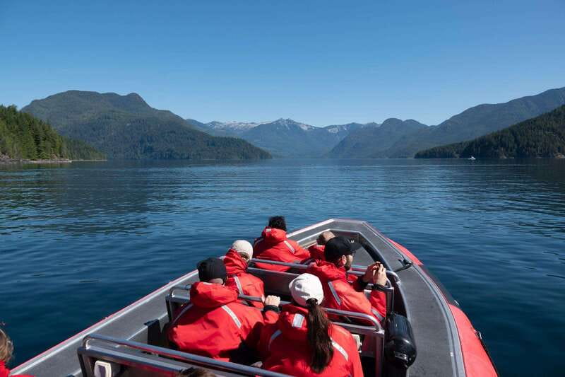 Campbell River: 6-Hour Whale Watching Boat Tour - How the Captain and Naturalist Work Together