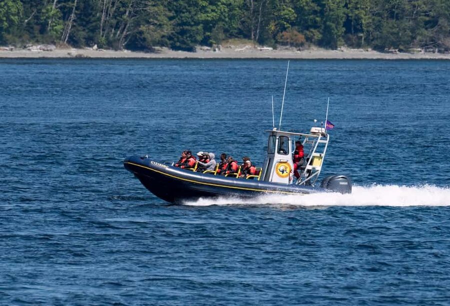 Campbell River: 6 Hour Zodiac Whale Watching Tour w/ Lunch - From Coast Marina to Whale Search Mode in About 6 Hours