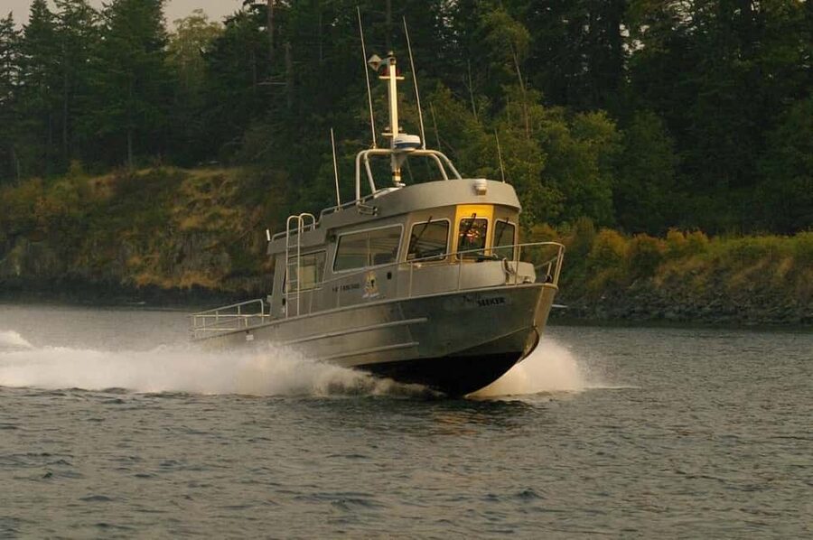 Campbell River: 7-Hour Big Animal Encounter Boat Tour - Guaranteed whale sightings, plus the hydrophone experience
