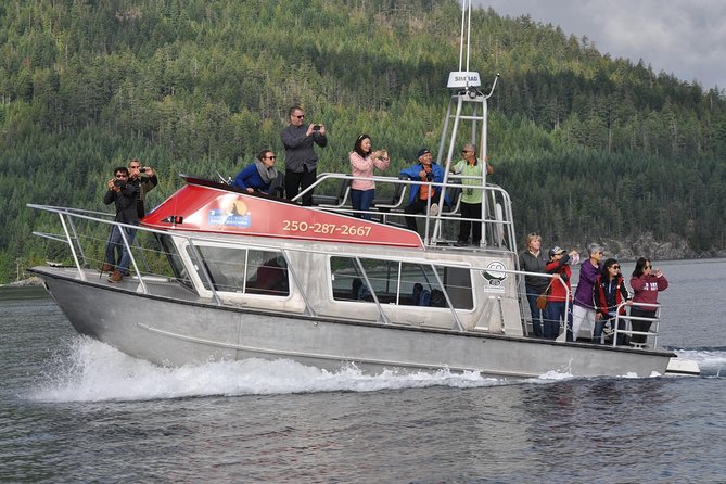 Campbell River: Bute Inlet Grizzly-Watching Tour & Boat Ride - Wildlife on the way in and out: whales, sea lions, dolphins, eagles