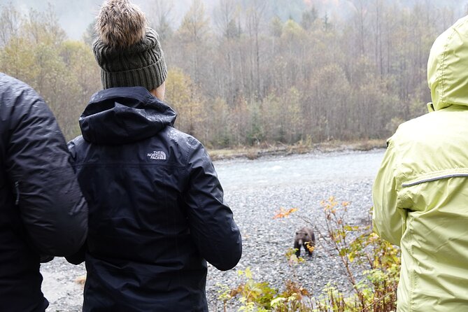 Campbell River: Bute Inlet Grizzly-Watching Tour & Boat Ride - Price and value: what you get for $572.10