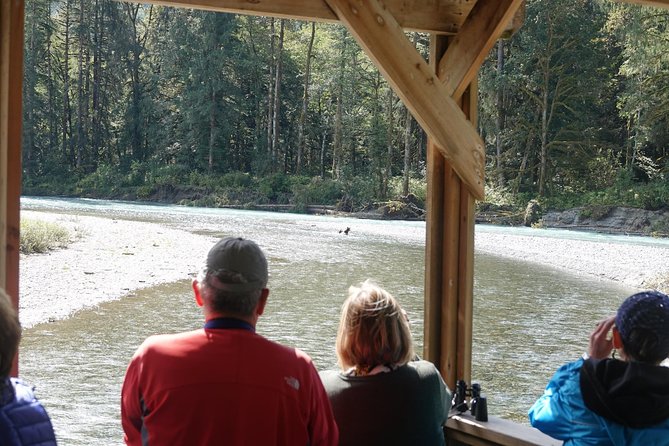 Campbell River: Bute Inlet Grizzly-Watching Tour & Boat Ride - Discovery Islands speedboat cruise: how the marine viewing time is built