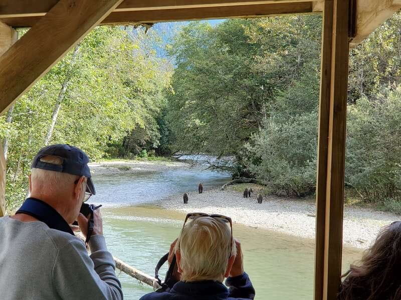 Campbell River: Grizzly Bear-Watching Tour with Lunch - Key Reasons This Tour Works (Even if the Bears Play Hide-and-Seek)