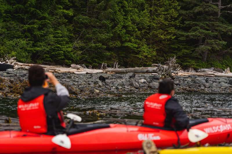 Campbell River: Kayaking and Whale Watching Tour - Switching gears to remote kayaking, with real instruction