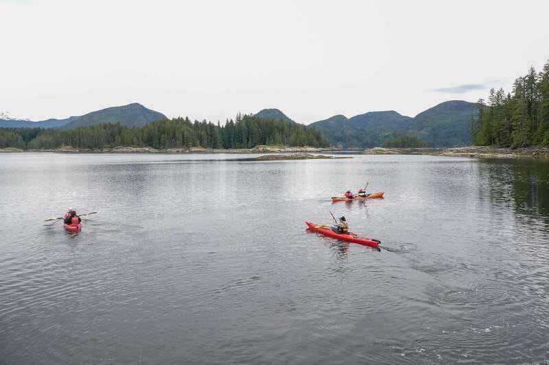Campbell River: Kayaking and Whale Watching Tour - Who this kayaking with whales day suits best
