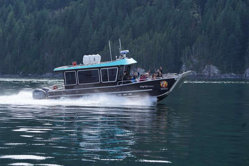 Campbell River: Salish Sea Whale Watching Adventure - Birdwatching in a whale day, including bald eagles