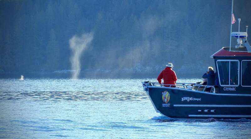 Campbell River: Salish Sea Whale Watching Adventure - Discovery Island waterways: how the search actually works