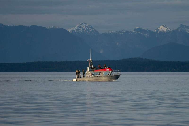 Campbell River: Whale & Wildlife Discovery Cruise - Getting there on time: parking and check-in without stress