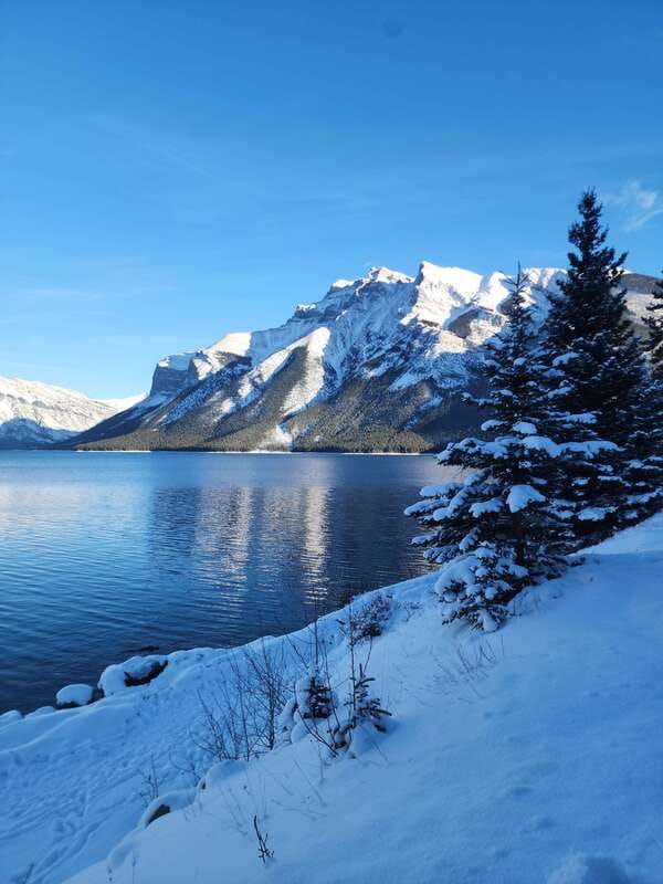 Canmore/Banff: Explore Banff & Wildlife - Pickup and Drop-Off: Designed for Easy In and Out