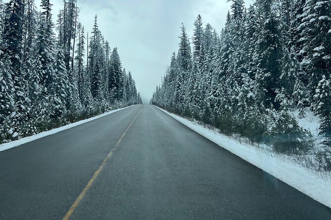Canmore/Banff Moraine Lake Louise Johnston Canyon Emerald Lake - Morning pickup and timing that keeps the day sane