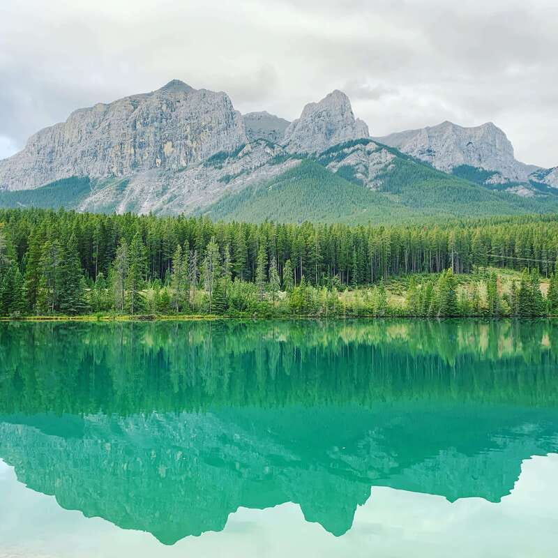 Canmore: PRIVATE SAFARI Drive to BANFF Park & Nature Walk - Key Takeaways Before You Go
