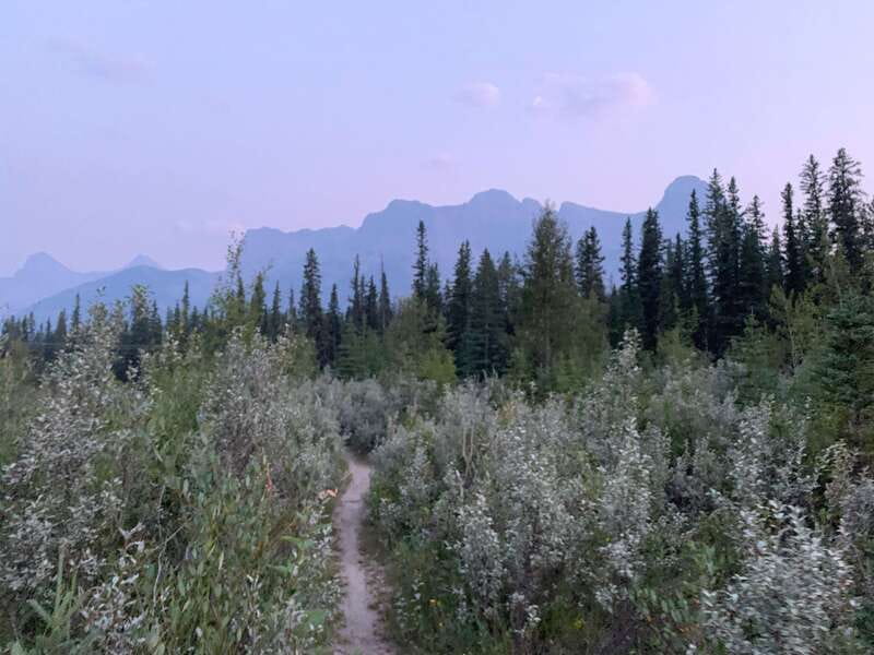 Canmore: PRIVATE SAFARI Drive to BANFF Park & Nature Walk - Guide and Safety: Bear Spray, First Aid, and a Calm Pace