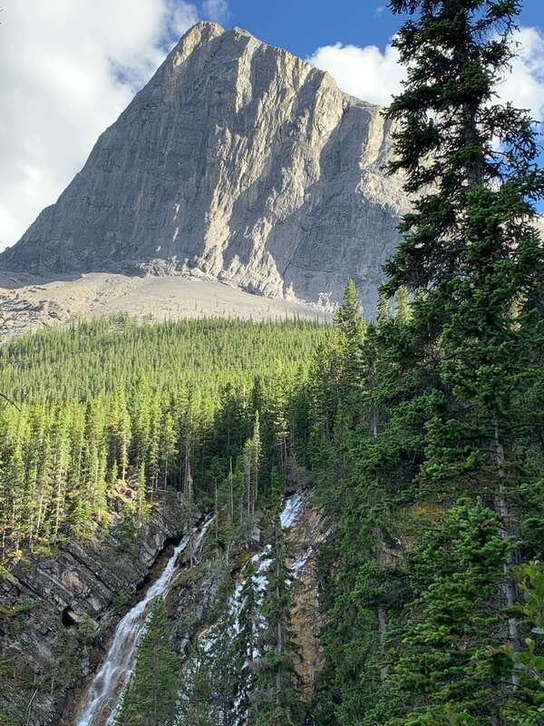 Canmore: PRIVATE SAFARI Drive to BANFF Park & Nature Walk - Price and Value for a Private Group Up to 4
