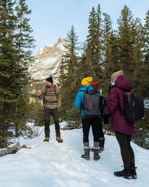 Canmore: Stargazing and Night Adventure - Practical tips to get the most from your night sky time