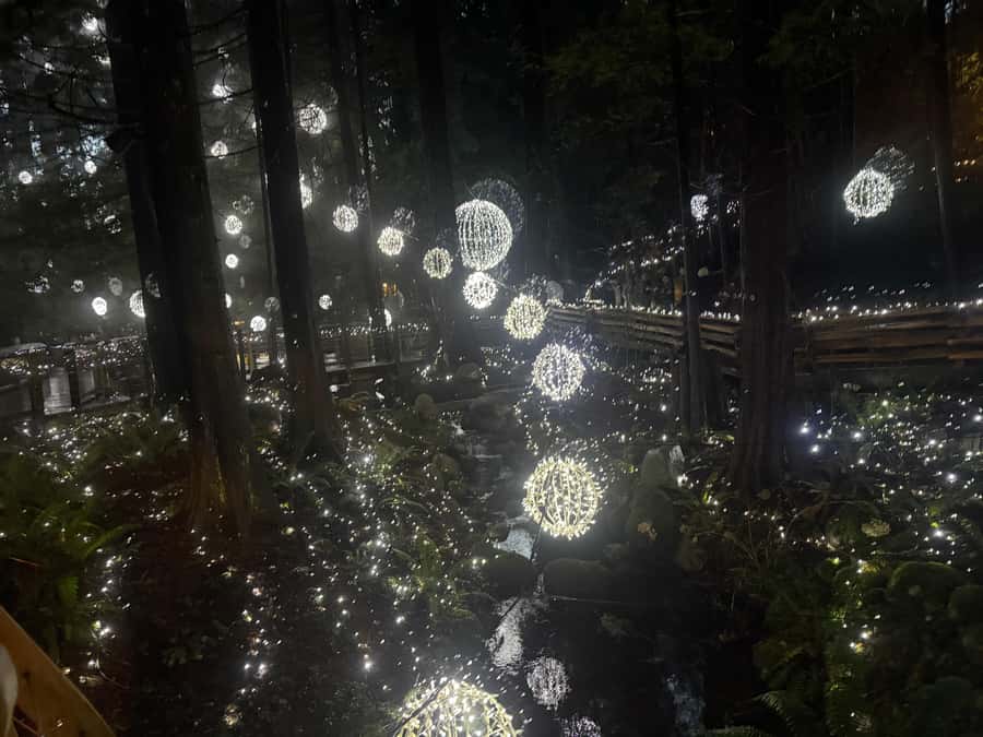 CANYON LIGHTS+Capilano Suspension Bridge/Small Group/CAR - Key points at a glance