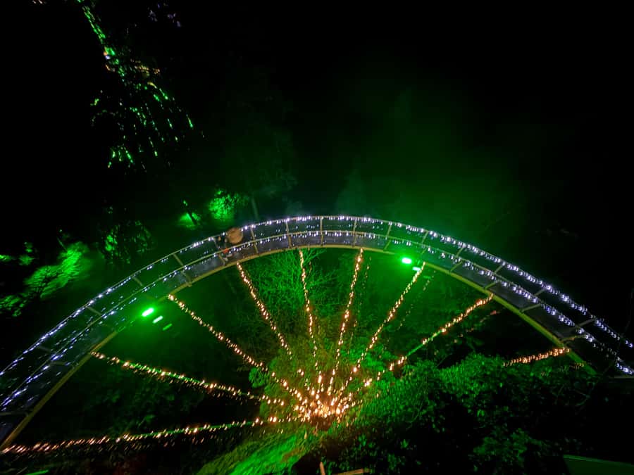 CANYON LIGHTS+Capilano Suspension Bridge/Small Group/CAR - A private-car day that strings Vancouver together