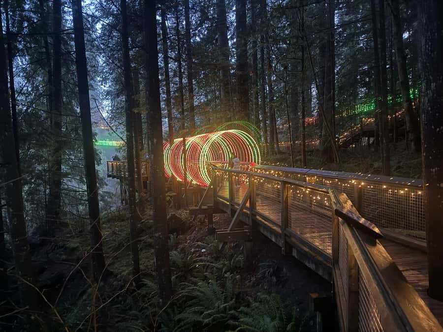 CANYON LIGHTS+Capilano Suspension Bridge/Small Group/CAR - Cliffwalk granite views and the Eagle Eye platform
