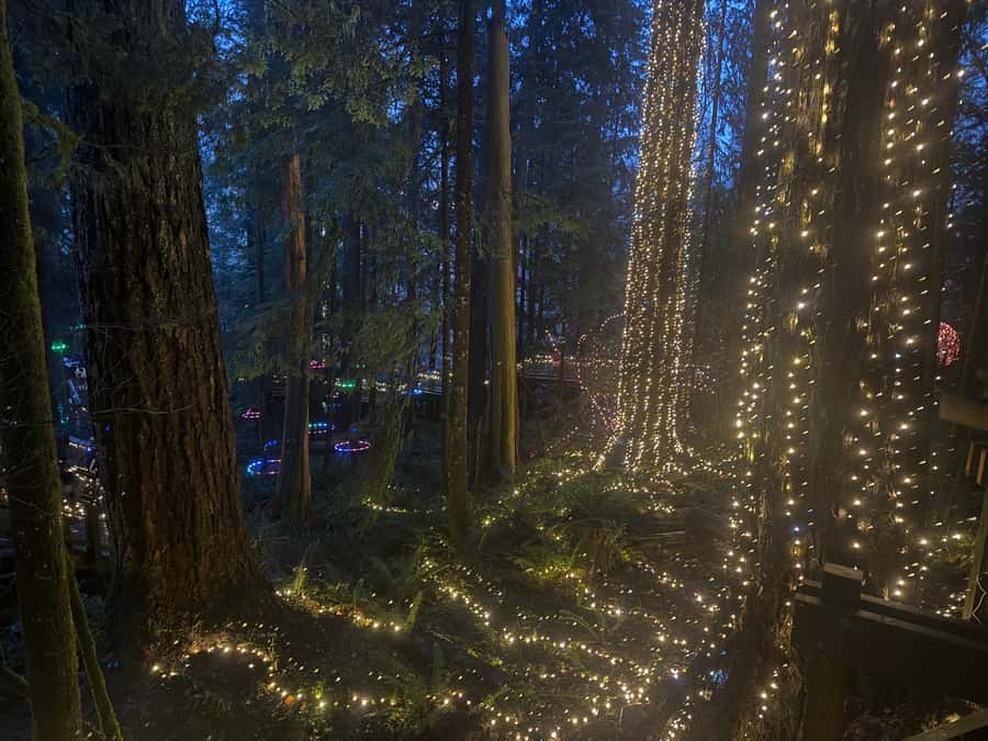 CANYON LIGHTS+Capilano Suspension Bridge/Small Group/CAR - Treetops Adventure: seven bridges above the rainforest