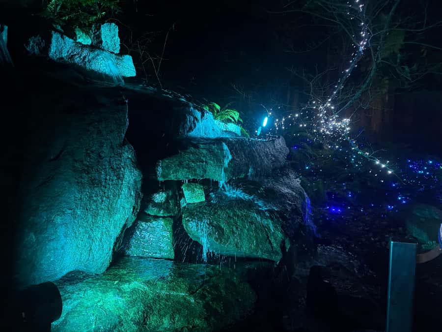 CANYON LIGHTS+Capilano Suspension Bridge/Small Group/CAR - Kia’palano, the Story Centre, and the Trading Post stops