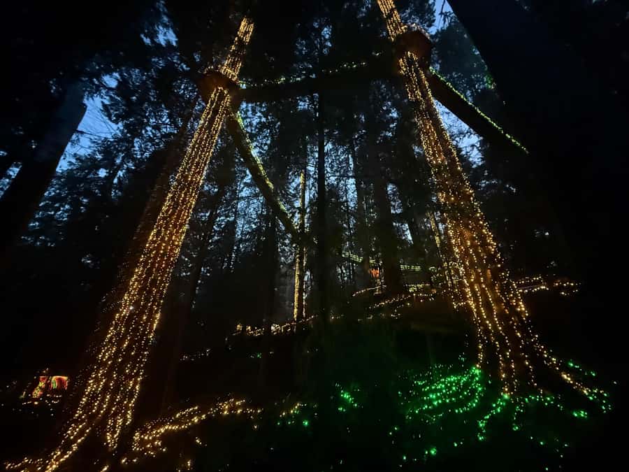 CANYON LIGHTS+Capilano Suspension Bridge/Small Group/CAR - Stanley Park quick hits, then Lions Gate Bridge panoramas