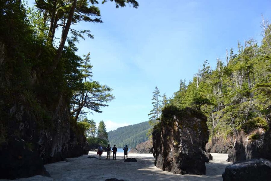 Cape Scott: San Josef Bay Day Hike with Scenic Drive - Key Points to Know Before You Go