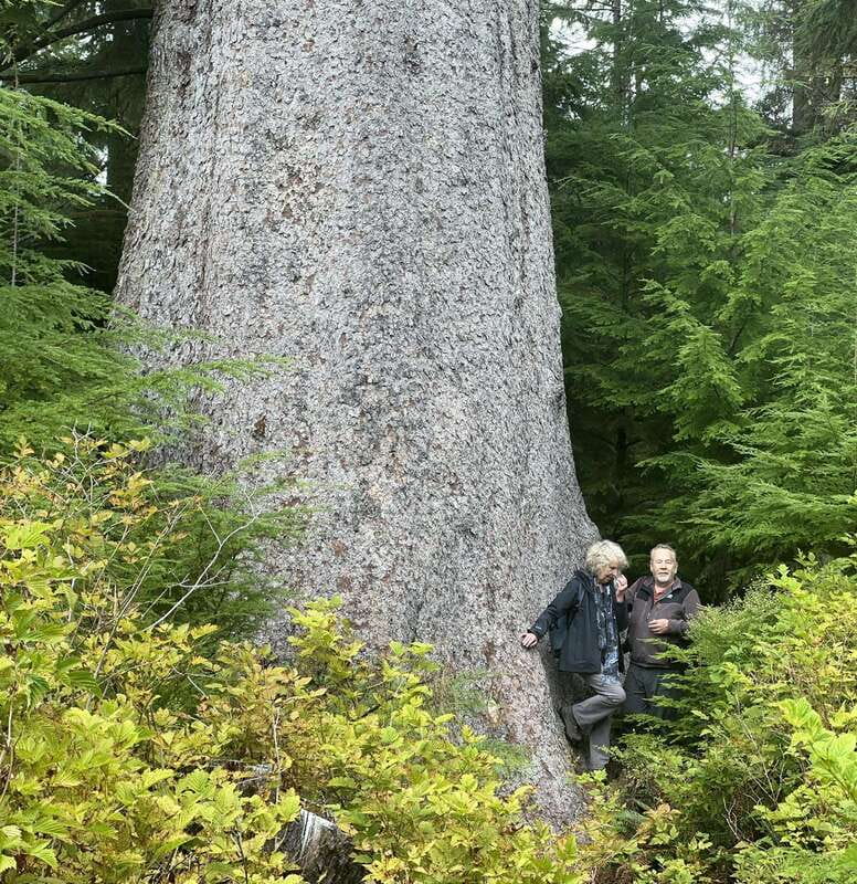 Cape Scott: San Josef Bay Day Hike with Scenic Drive - San Josef Bay’s Sea Stacks: What Makes the Coast Feel So Wild