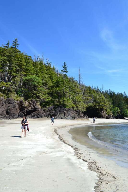 Cape Scott: San Josef Bay Day Hike with Scenic Drive - Who This Tour Fits Best
