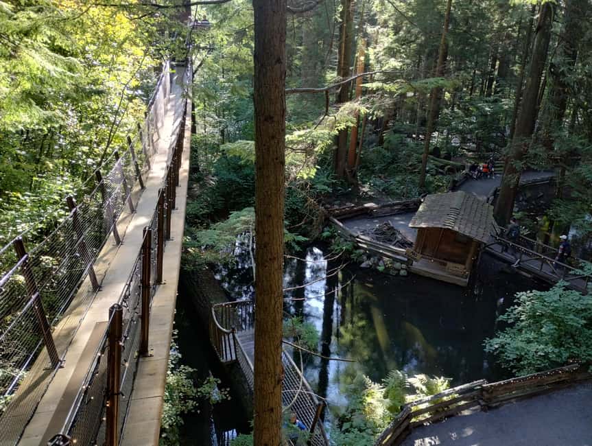 Capilano Suspension Br+Lake+Dam+Hachery/4in1/CAR/Small GROUP - Cliffwalk and Treetops Adventure: two ways to see the forest differently