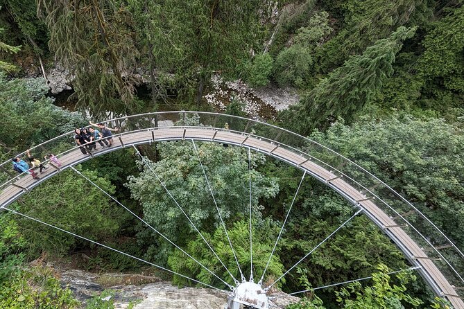Capilano Suspension Bridge Canyon Lights & 4 Top highlights - Lynn Canyon Park: Rainforest Trails and a Real Swaying Bridge