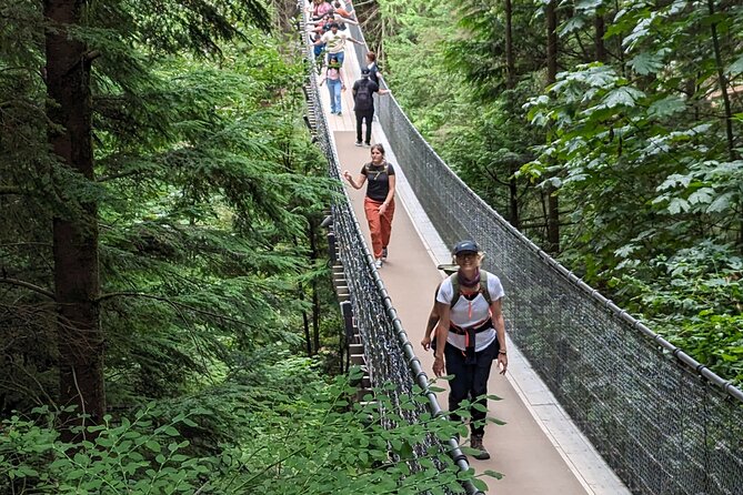 Capilano Suspension Bridge Canyon Lights & 4 Top highlights - Capilano Suspension Bridge Park: From the Bridge to Cliffwalk and Treetops