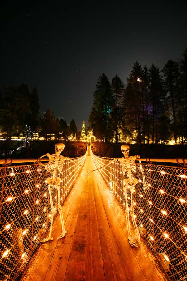 Capilano Suspension Bridge Canyon Lights & 4 Top highlights - Who This Tour Fits Best