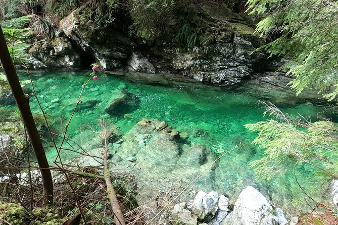 Capilano Suspension Bridge Canyon Lights & 4 Top highlights - Pickup, Timing, and How the Day Stays Sane