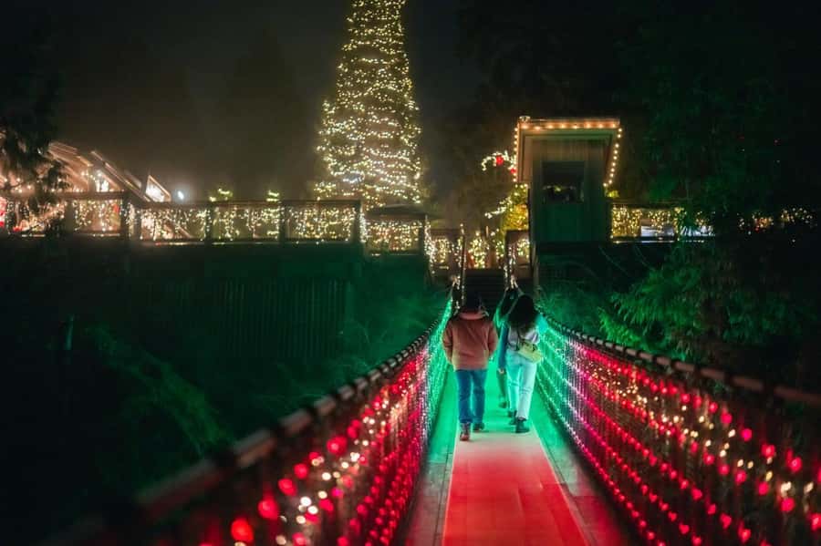 Capilano Suspension Bridge Canyon Lights Holiday Tour - Key things to know before you go