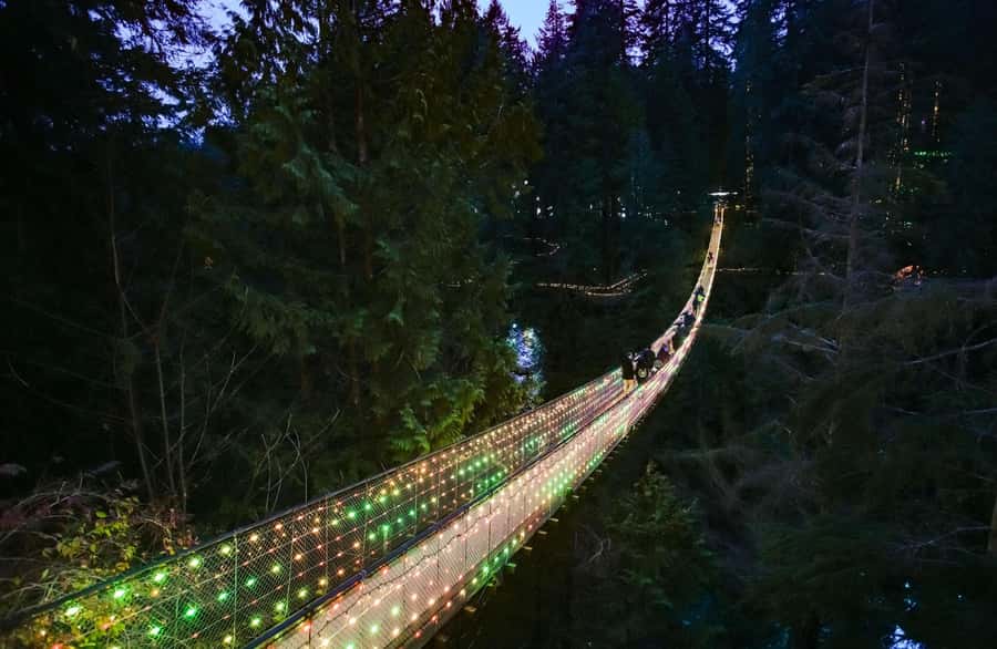Capilano Suspension Bridge Canyon Lights Holiday Tour - The illuminated suspension bridge: your best views, and a practical tip