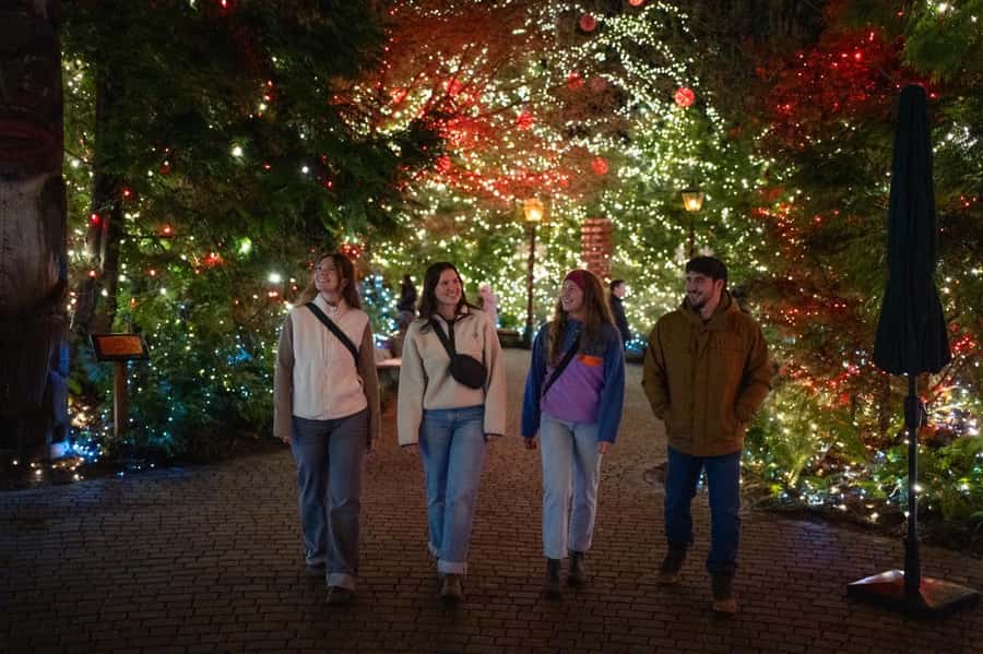 Capilano Suspension Bridge Canyon Lights Holiday Tour - Treetops Adventure and Cliffwalk: seeing the glow from above