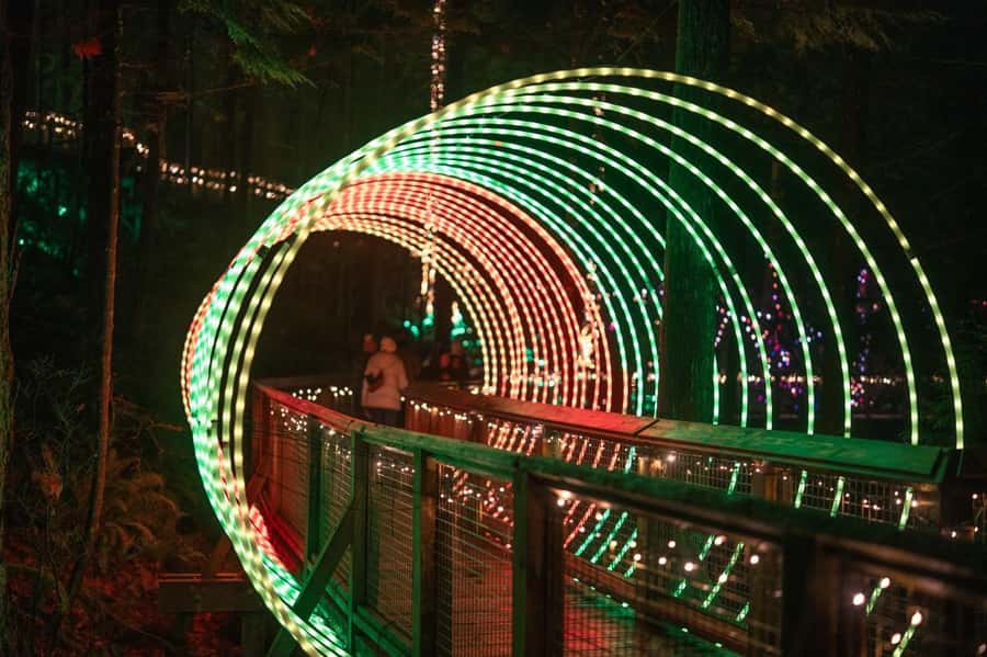 Capilano Suspension Bridge Canyon Lights Holiday Tour - Who this tour suits best (and who might want a different plan)