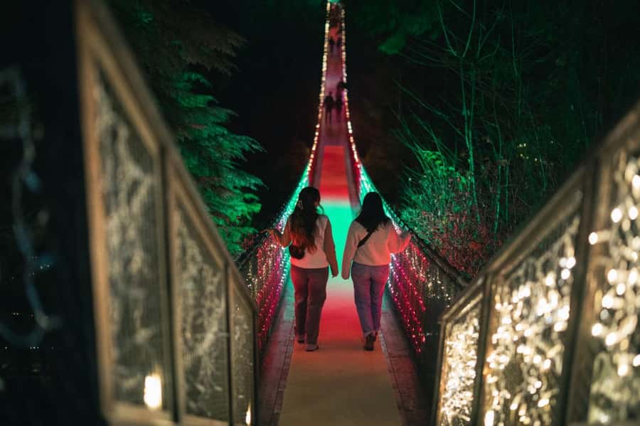 Capilano Suspension Bridge Canyon Lights Holiday Tour - Should you book the Capilano Suspension Bridge Canyon Lights Holiday Tour?