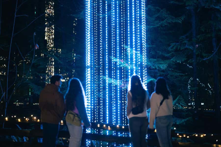 Capilano Suspension Bridge Canyon Lights Holiday Tour - Downtown pickup, comfort, and a group of up to 6