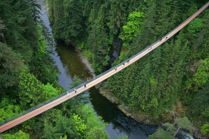 Capilano Suspension Bridge + Grouse Mountain Tour - How the timing works, and how to make it feel less rushed