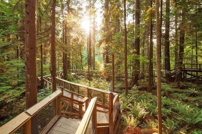 Capilano Suspension Bridge Park Ticket - Cliffwalk: Where the Views Get Serious