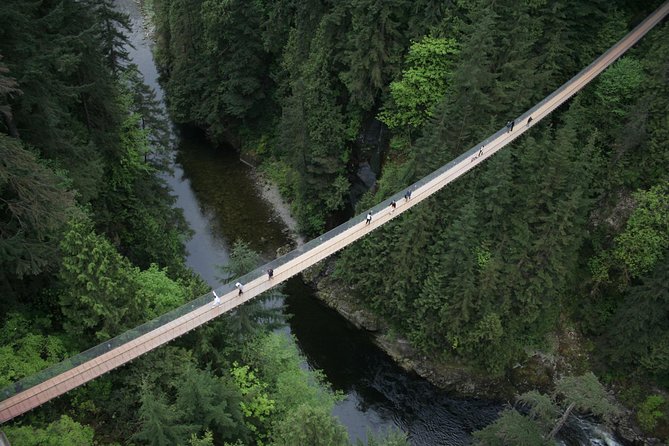 Capilano Suspension Bridge Park Ticket - The Walk That Makes Capilano Special, Step by Step