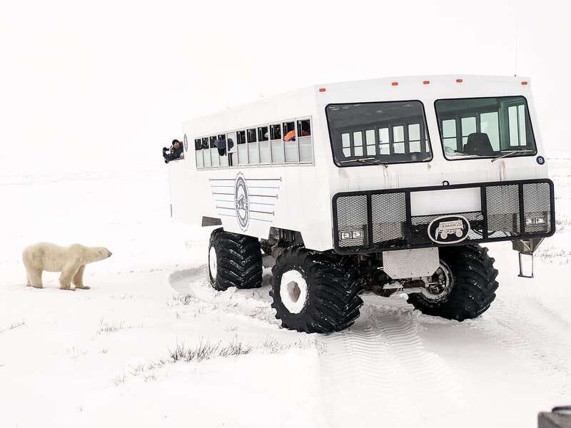 Churchill: Exclusive Tundra Buggy Day Trip - Churchill Wildlife Management Area access, why it makes the day better