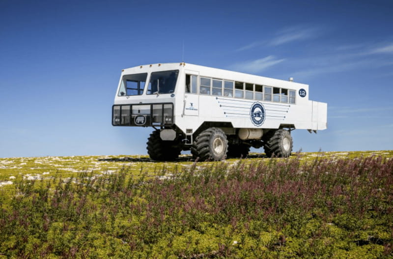 Churchill: Exclusive Tundra Buggy Day Trip - Timing and what to pack, so you don’t spend the day cold and cranky