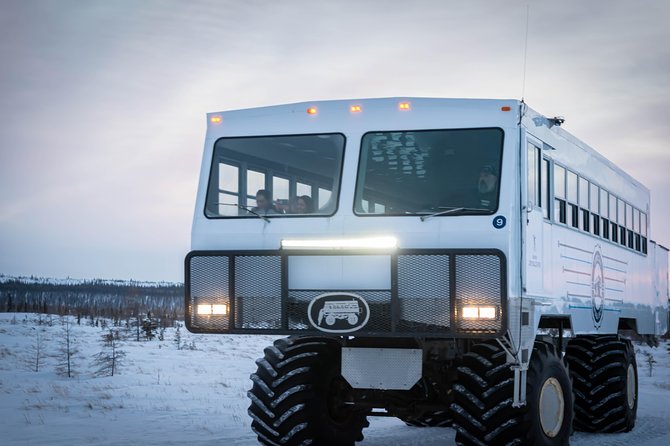 Classic Churchill Polar Bear Experience - Days 3 to 5: Two Full Days on the Tundra Buggy