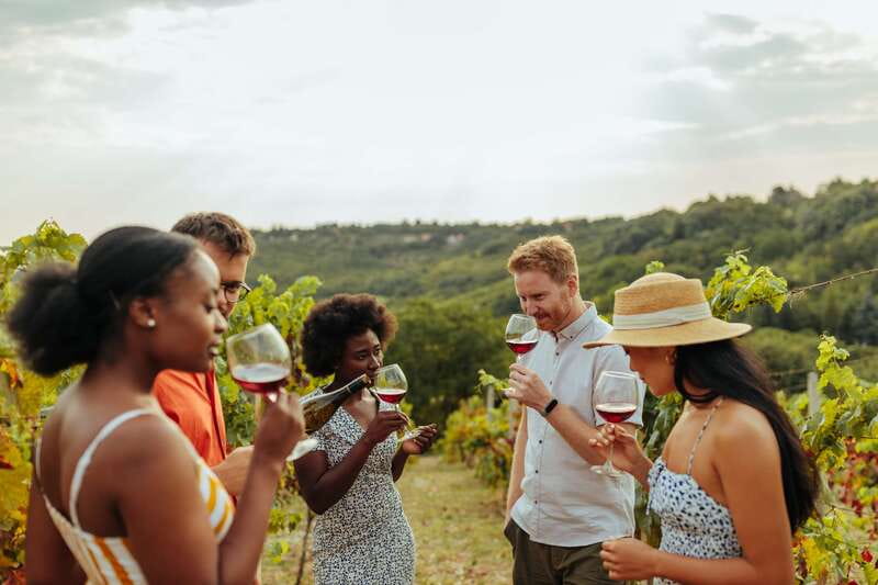Collingwood: Blue Mountains Wine and Cider Tasting Tour - Georgian Hills Vineyard: A Wine and Cider Tastings Stop That Keeps Things Fun