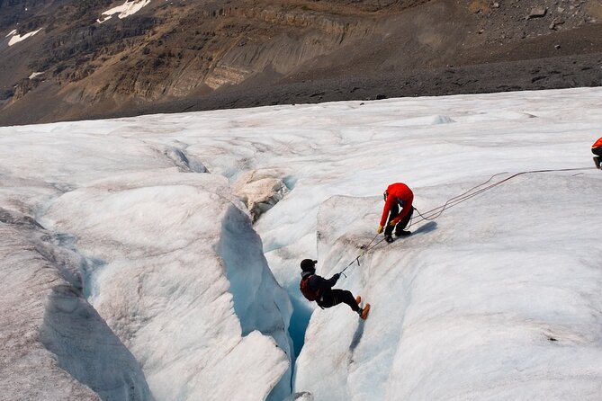 Columbia Icefield Adventure,Bow Lake,Peyto Lake in Banff & Jasper - Waterfowl Lakes: a calmer pause after the big ice moments