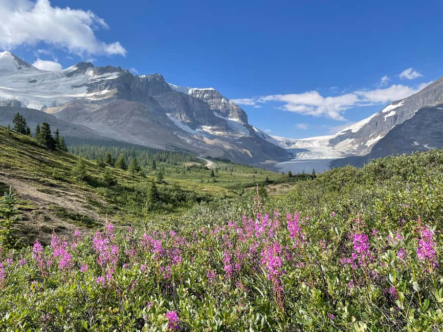 Columbia Icefield: Guided Glacier Hike - Crevasses, mill wells, meltwater streams, and icefalls from the right places